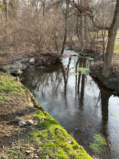 Cedar Run